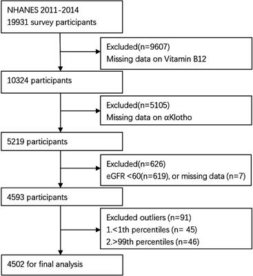 Inverted U-shaped relationship between serum vitamin B12 and α-Klotho levels in US adults: a cross-sectional study